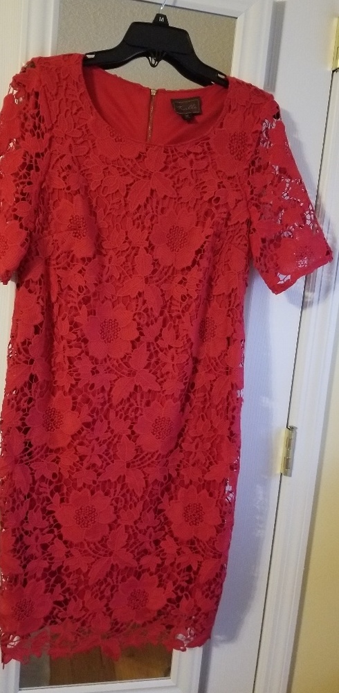 Beautiful Ladies New W/O Tags Lace Dress